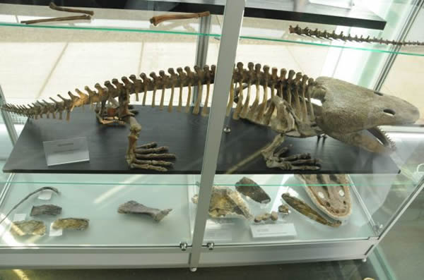 2����޴����ܶ���Ѩ�����߶ȹ��ɺ���