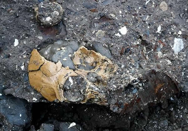 ����ʡ��ͨ��ˮ���ӷ���600����ǰ��Գͷ�ǻ�ʯ