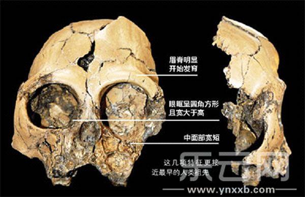 ������ͨ���ֵĹ�Գͷ�ǻ�ʯ