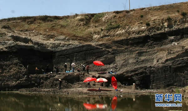 λ��������ͨ�еĹ�Գͷ�ǻ�ʯ���ŷ����ֳ�