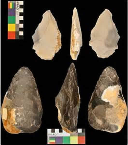 175万年前人类的语言能力与工具制造技能就已开始共同进化