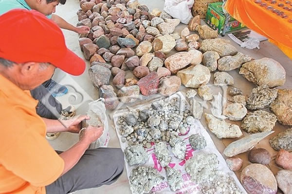 ������ũ�����ڵĹ����ﻯʯ���ֳ����н���