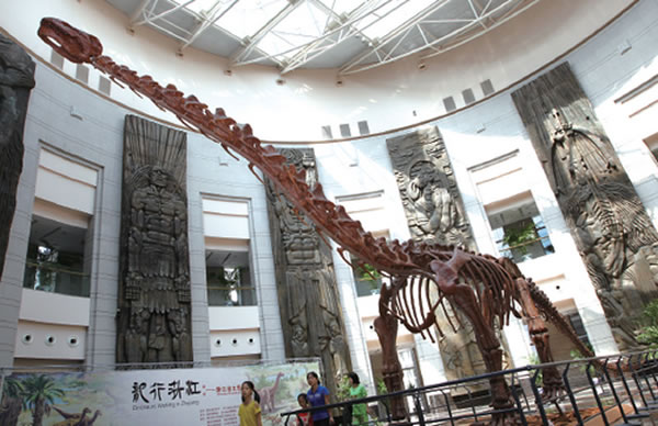 ����������Ʒ����������һ�ִ��͵ľ������������ȫ���ﵽ15���ף����㽭ʡ�ڷ��ֵı�����õĿ�����ʯ֮һ��