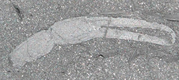 3.5ǰЫӻʯʾǴ½½ض