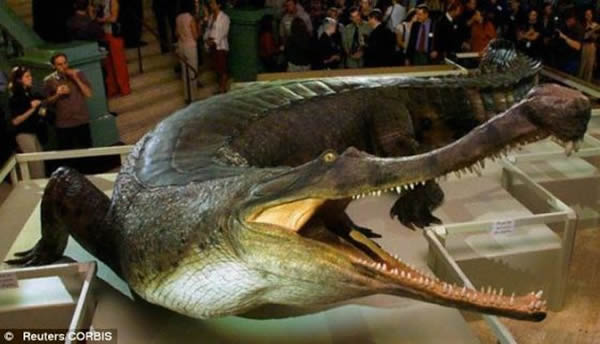 ʷǰ��������һ�����ٱ��ܣ��Զ��ʳ���Կ�������ɱ����һ�����Ǹ���һ�������о��ó��ģ����о��״�������չʾ����Щ���ж���������ڿ���ͳ�ε����粻�Ͻ�����