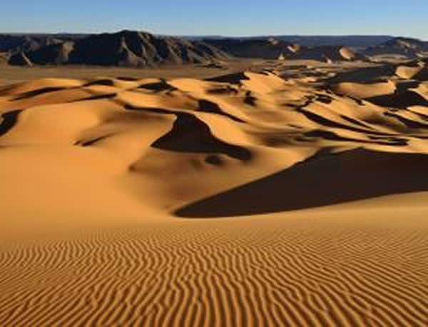 ������ɳĮ��Զ�ź���Ϊ������ŷ�޺����޵ĵ�һ��Ǩ�㴴���˿���