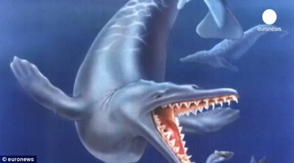 艺术家描绘的是鲸鱼祖先物种Achaeocetes