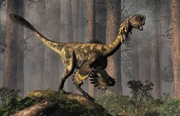 ��������������������·��ֵ�һ����������ʾ�����������Ĳ�ɫ��ë