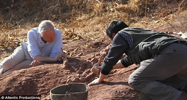 阿滕伯勒在陆丰恐龙国家地质公园挖掘恐龙骨骼化石，该地质公园国发现历史上最大的恐龙蛋