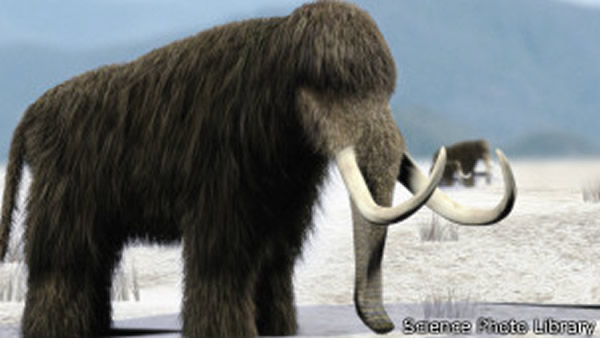 �������������������仯������������ɱ