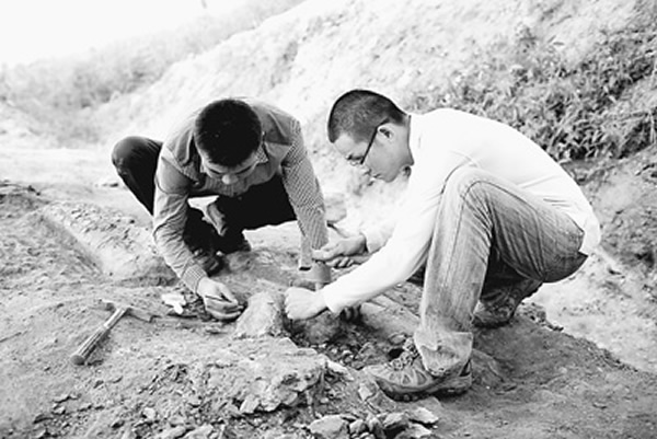 ��ɽ���������Ͻ���ڿڴ嶫����2���ھ�ص㣬�����ƿ���Ա���ھ������ʯ��