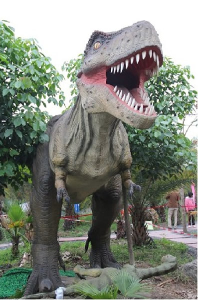 �й���ѧԺֲ���о�������ֲ��԰���׽��������չ������10��1�տ�չ