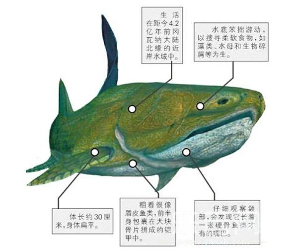 ����־���͵ز��з��ֵĹ��㣺����ʼȫ��㡱