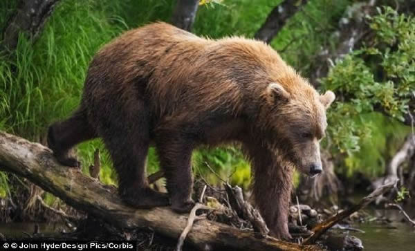 �״η������������������ǻ�ʯ