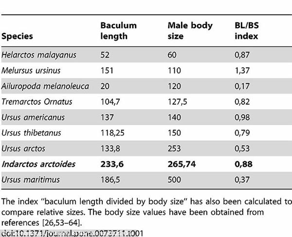 �״η������������������ǻ�ʯ