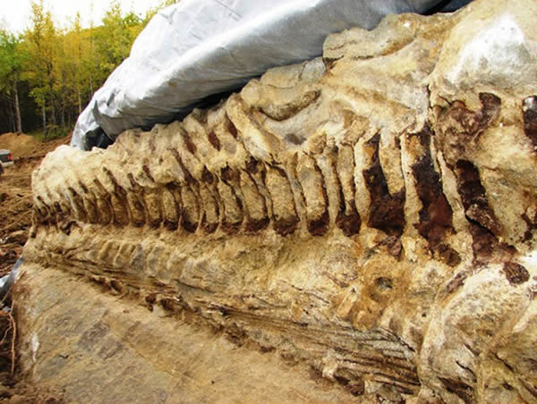 ���ô󰢶�����ʡ����Ѽ����β�ǻ�ʯ