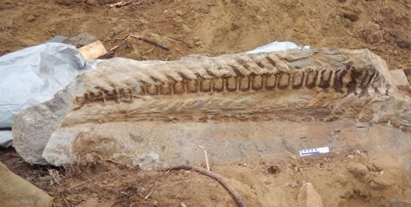 ���ô󰢶�����ʡ����Ѽ����β�ǻ�ʯ