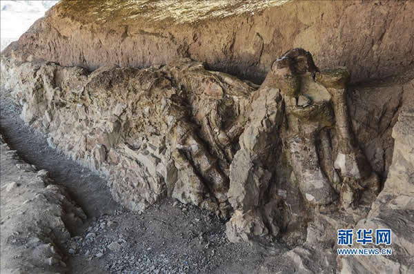 10��10������ġ�۷���½���������