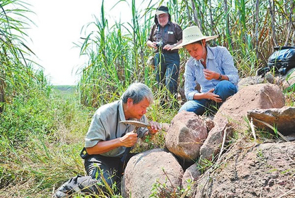 ������ѧ���ڹ������翼�������ʯ��ַ