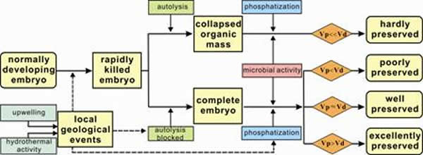 ������̥��ʯ�����ģʽ��ͼ