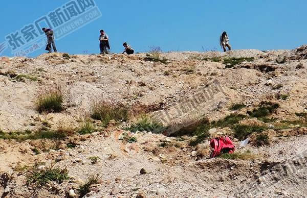 ��ԭ��ʯ��ׯ���ֺ������;�ʯ���ӹ���