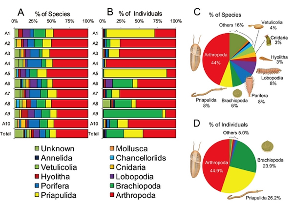 �����������
