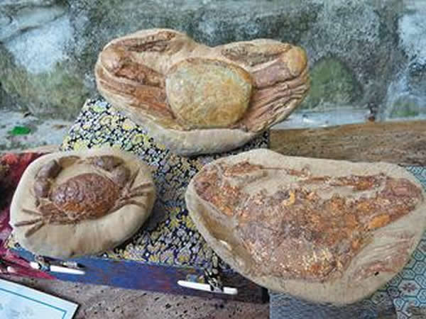 ¡�������Ƕ�з�Ͷ����y�Ǽ������ɿ����������ε���ϡ��ʯ