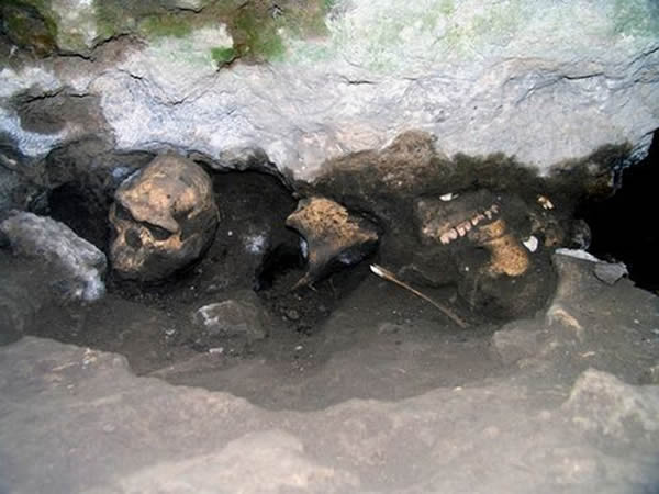 格鲁吉亚德马尼西古人类头骨化石具有“现今不同人种的同宗起源”指向