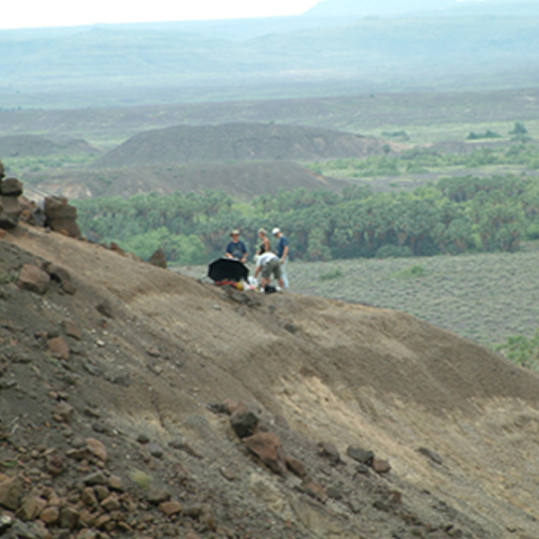 ���Ǵ��ѹȳ�������ԭʼ����Ļ�ʯ