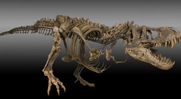 �����ɴ�����һ��ũ�����Լ�ũ�����ְ���������������ʯ�Ǽܡ�һҹ������