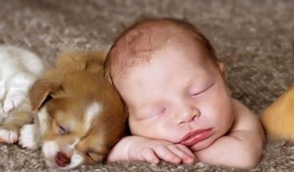 �������о�֤���˹�ѱ���Ķ�������ǿ����Ȼ�����Ķ���