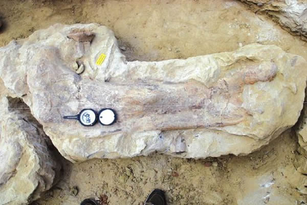 �Թ����ش����ڵػ�����������Ʒ������������ʯ