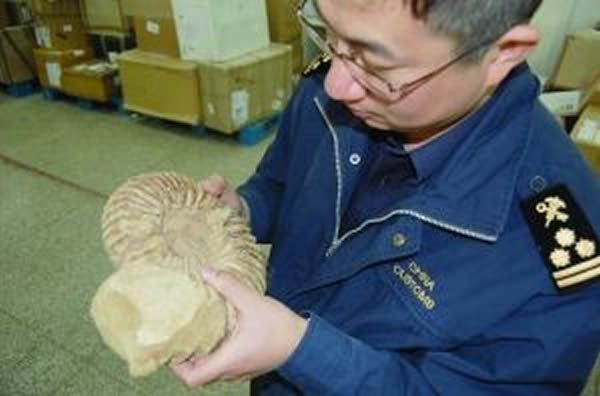 �Ͼ����ز��3��������Ƴ����Ĺ����ﻯʯ������