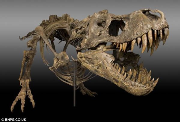 ����ũ����7000����ǰ�ı�������������ʯһҹ����