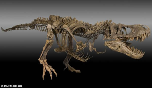 ����ũ����7000����ǰ�ı�������������ʯһҹ����