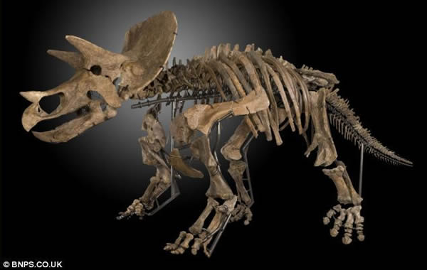 ����ũ����7000����ǰ�ı�������������ʯһҹ����