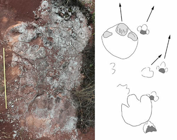 �·��ֵĿ����㼣�Լ�ʾ��ͼ