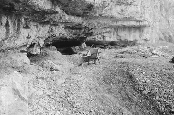山东沂源扁扁洞遗址出土万年前古人类头骨化石碎片