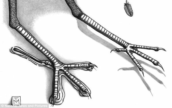 ���ְ�����֪����������㼣��ʯ