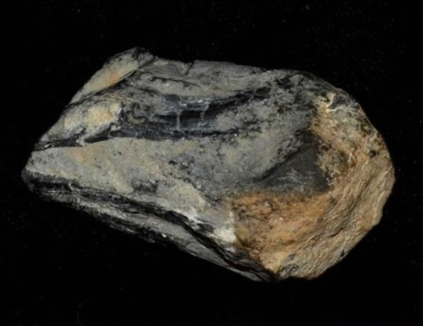 �ڻ����ݰ�������������԰�ڷ��ֵ����ػ�ʯ����ѧ����Ϊһ�ָ���ĺ������ｫ����׵��Ť�����γɵ�����ȵ�ģ��