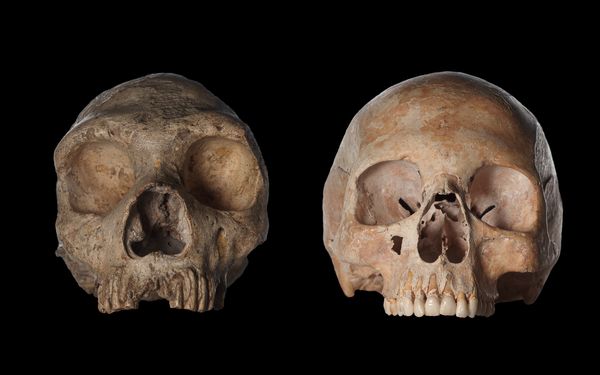 һ���ᰲ�����˵�ͷ��(��)��һ���ִ�Ů�Ե�ͷ�ǣ��ң���