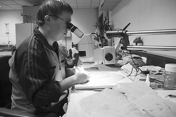 工作人员正在修复化石