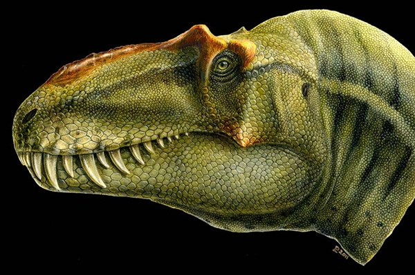 ���������ݷ��ְ�����������