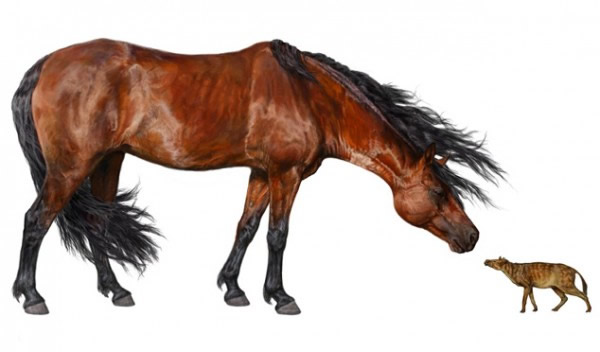 �������ʼ��������ͼ�ң�ͼ�����һƥ�ִ�����