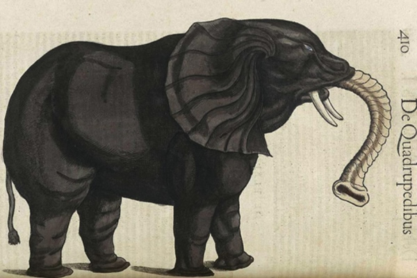 �����ʷ�����ԭ��������걾����ʵ����