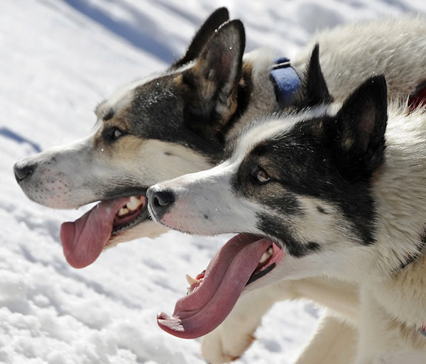 ���о�˵����Դ��ŷ��