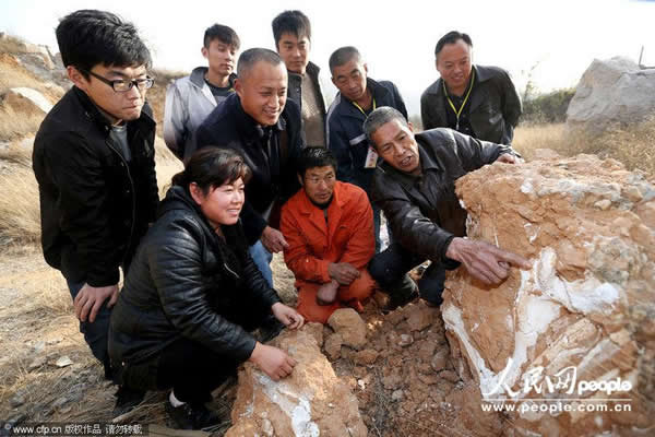 安徽淮北发现大型脊椎动物化石