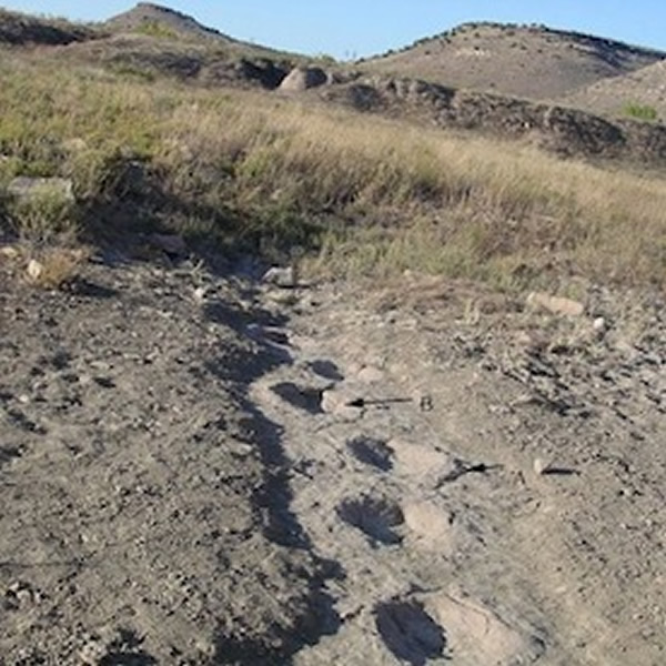 ��ͷ��Ǵ��ǿ����ȿ�ˤ���ĵط�