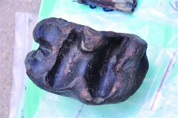 �ൺ����ɽ��ʯ����ַҰ�ⷢ��������