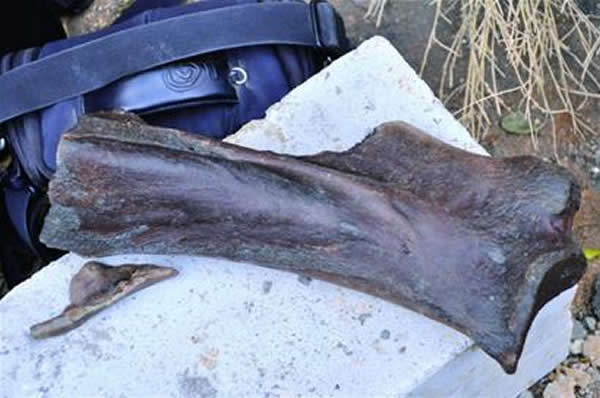 �ൺ����ɽ��ʯ����ַҰ�ⷢ��������